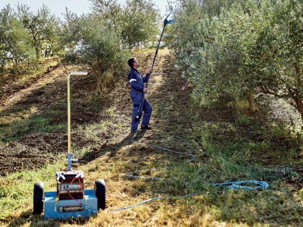 Abbacchiatore elettrico per olive Elektra ECO