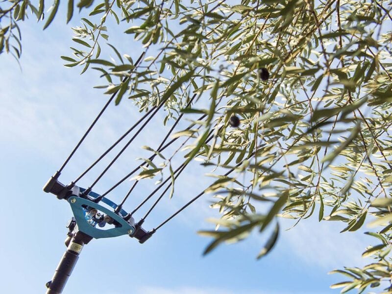 Abbacchiatore pneumatico per raccolta olive Iron