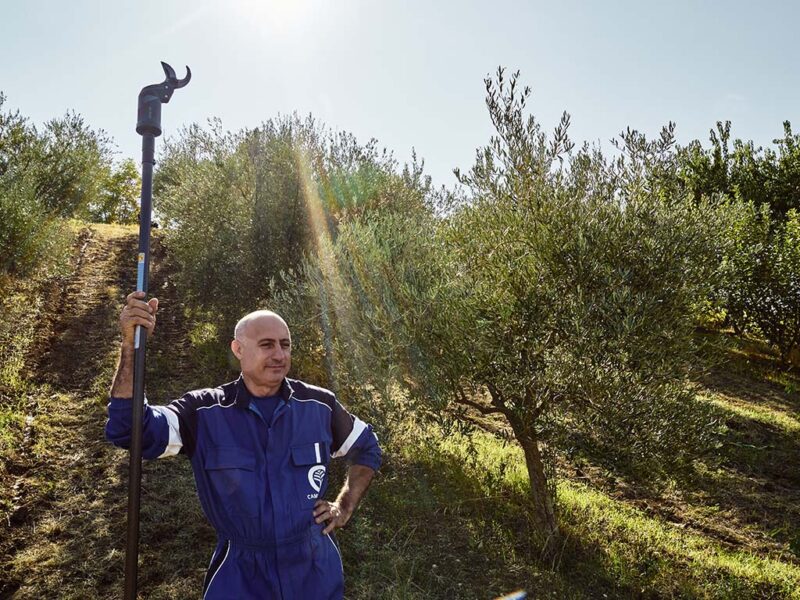 opertaore tiene Forbice pneumatica Star 40 con adattatore su asta di prolunga fotografia in contesto con alberi da frutto