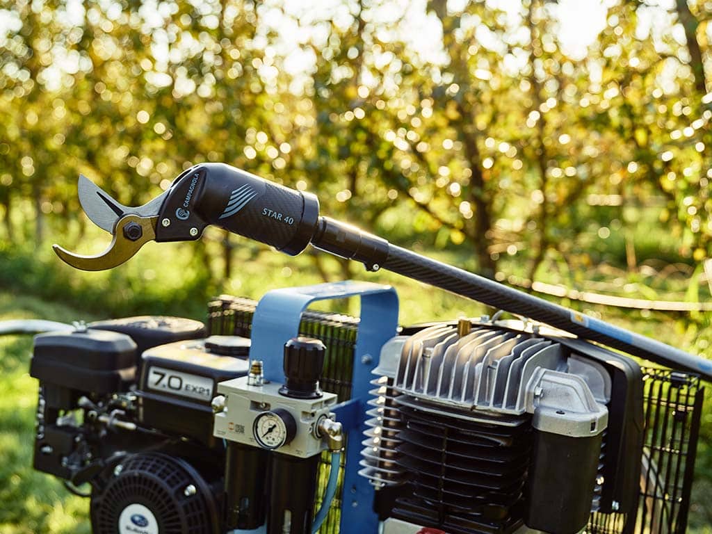 Forbice pneumatica Star 40 con adattatore su asta di prolunga fotografia in contesto con alberi da frutto