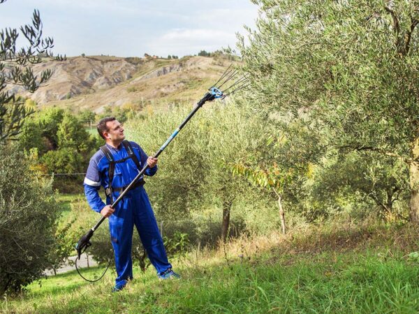 Abbacchiatore elettrico per olive Icarus composto da asta, testa e batteria Power 58