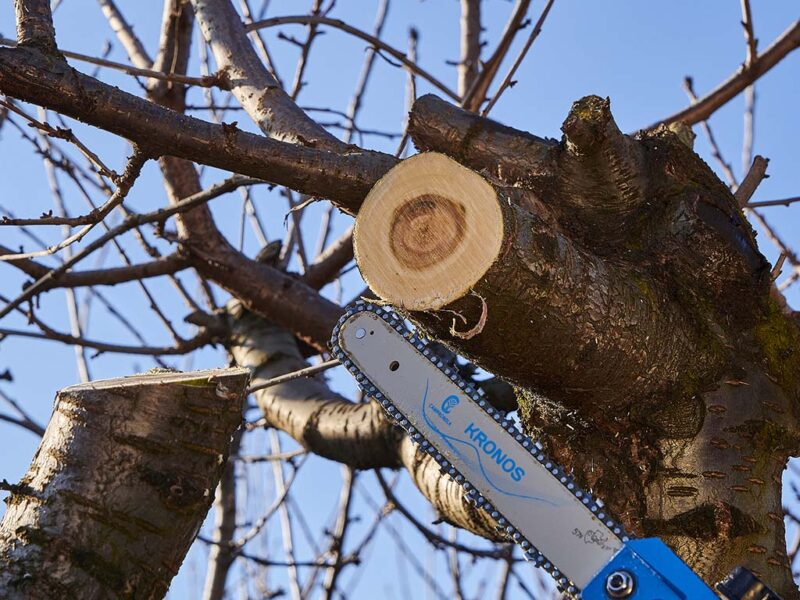 Potatore elettrico Kronos 58 a catena utilizzabile in connessione con tre dimensioni di asta fissa raggiunge una lunghezza di 230 cm, alimentato dalla batteria LI-ION 700