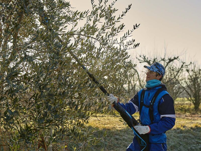 Potatore elettrico Kronos 58 a catena utilizzabile in connessione con tre dimensioni di asta fissa raggiunge una lunghezza di 230 cm, alimentato dalla batteria LI-ION 700