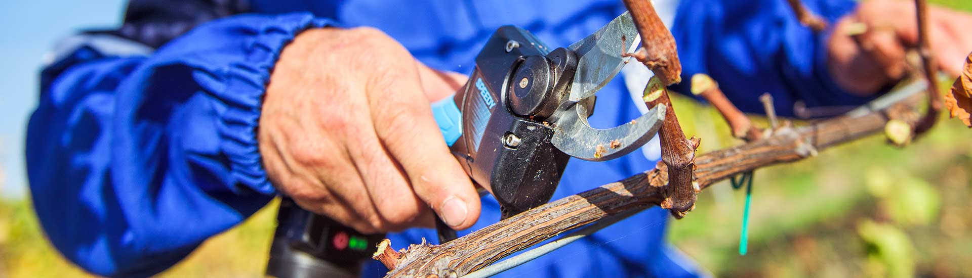 Campagnola Tijeras eléctricas con batería incorporada
