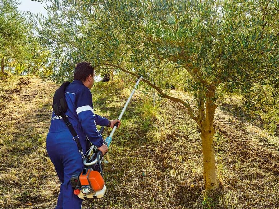 GSM EL TORO EVOLUZIONE K Scuotitore a motore