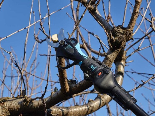 Forbice elettrica stark M con asta di prolunga telescopica