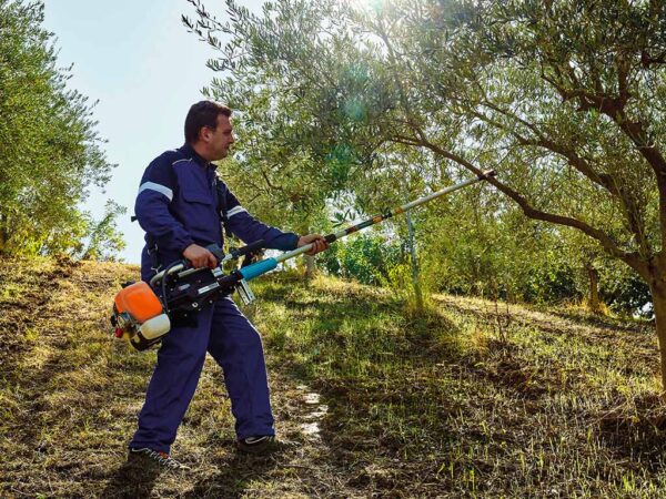 GSM EL TORO EVOLUZIONE K Scuotitore a motore
