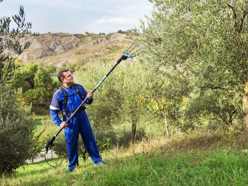 Abbacchiatore elettrico per olive Icarus composto da asta, testa e batteria Power 58