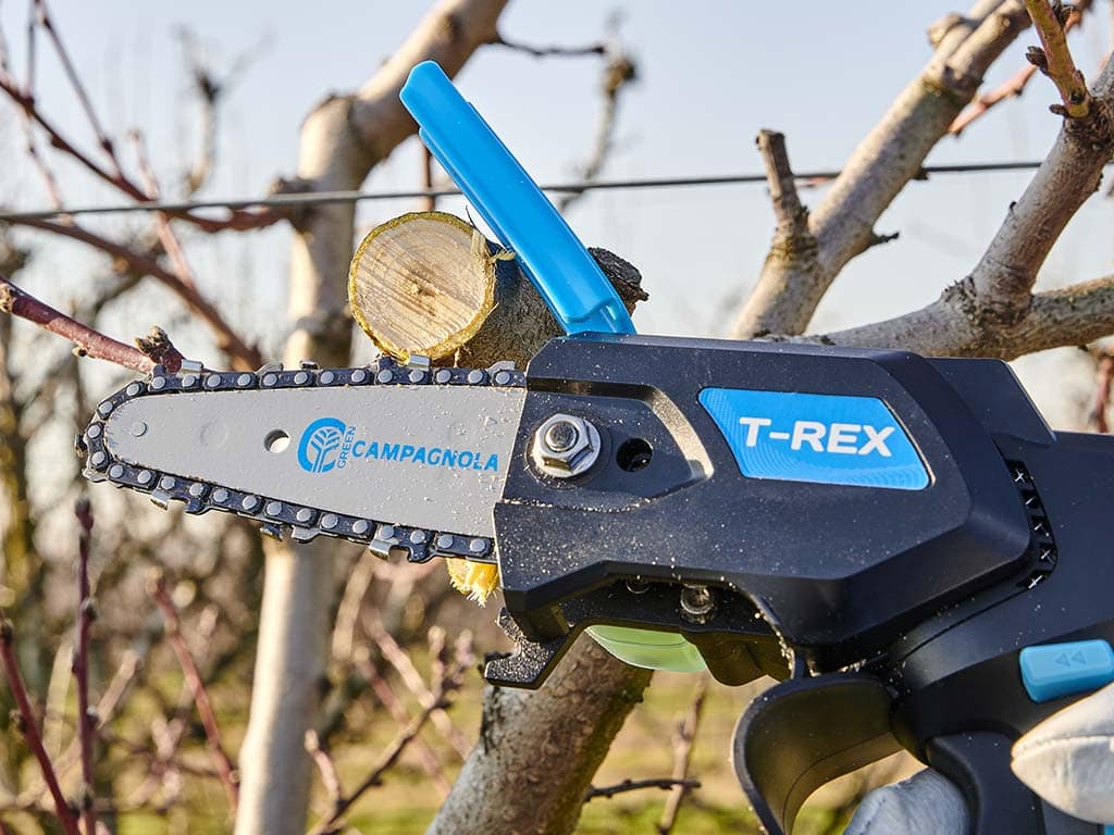 T-rex Potatore elettrico con batteria plug-in